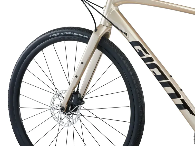 Giant FastRoad AR 1 Road Bike in Sandshell-1