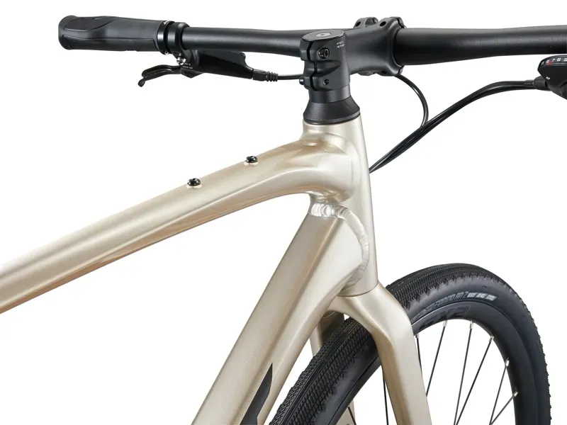 Giant FastRoad AR 1 Road Bike in Sandshell-2