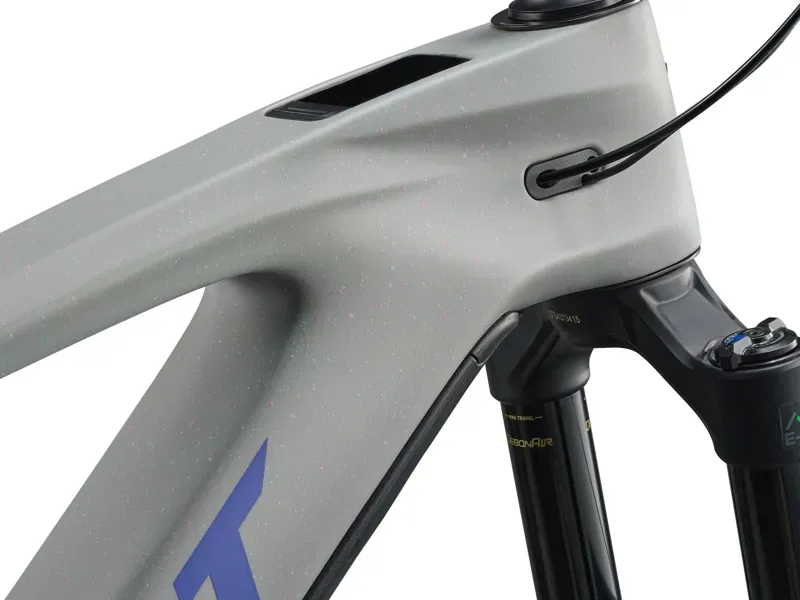 Giant - Reign Advanced E+ 2 Electric Mountain Bike in Moon Dust-5