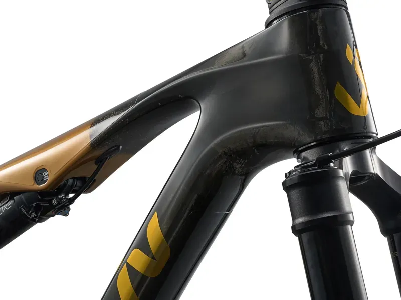 Liv - Pique Advanced SL 0 Mountain Bike In Raw Carbon/Steampunk-4