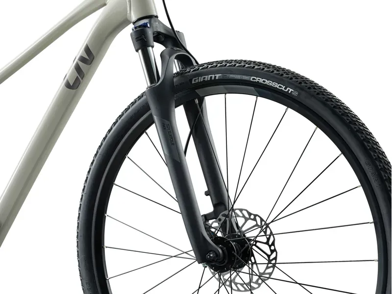 Liv - Rove 3 Hybrid Leisure Bike in Pulp Gray-3