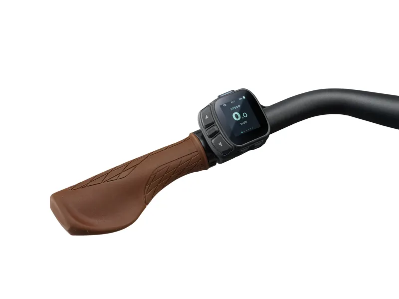 Liv - Flourish E+ 2 Women's Electric City Bike in Mountain Air-5