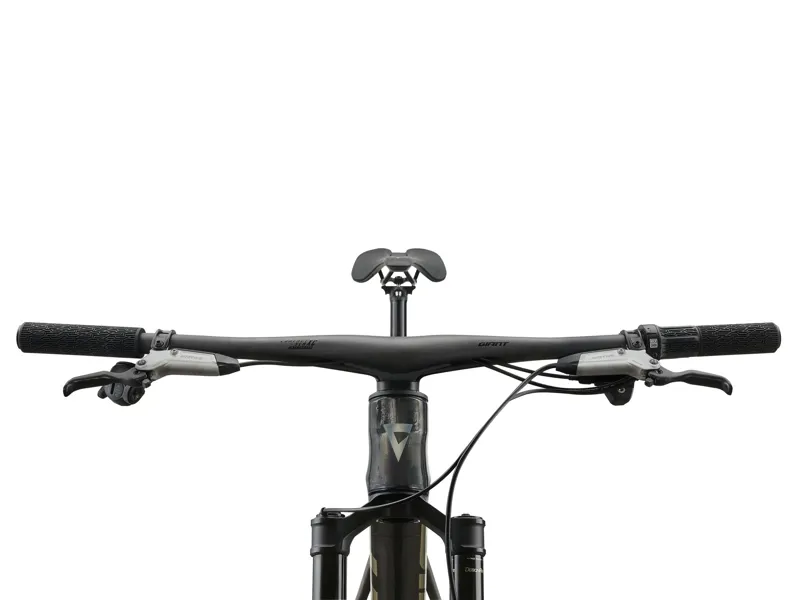 Giant - Anthem Advanced SL 0 Full Suspension Mountain Bike in Raw Carbon-4