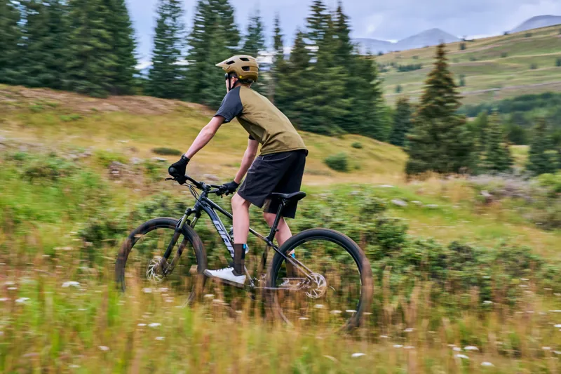 Giant - Talon 3 Hardtail Mountain Bike in Gloss Beeswax-3