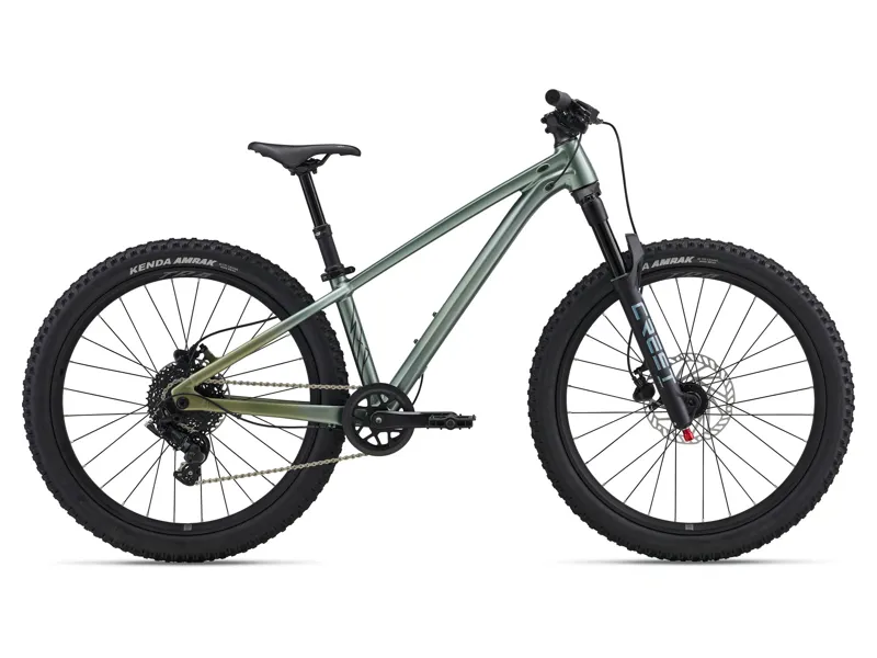 Liv - STP 24 Dirt Jumper Kids Bike in Alpine Green