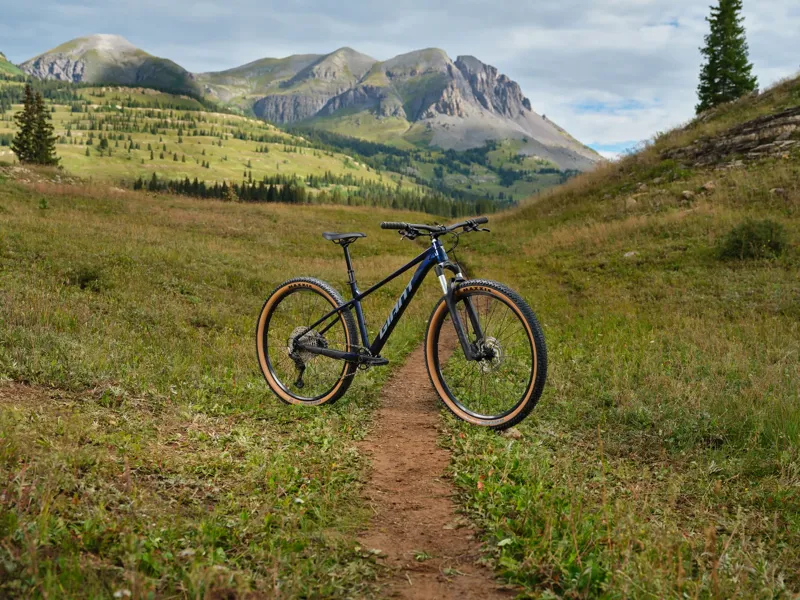 Giant - Talon 0 Hardtail Mountain Bike in Ultra Navy-6