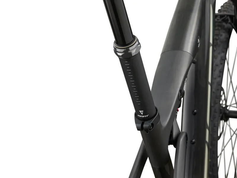 Giant - Anthem Advanced SL 0 Full Suspension Mountain Bike in Raw Carbon-9
