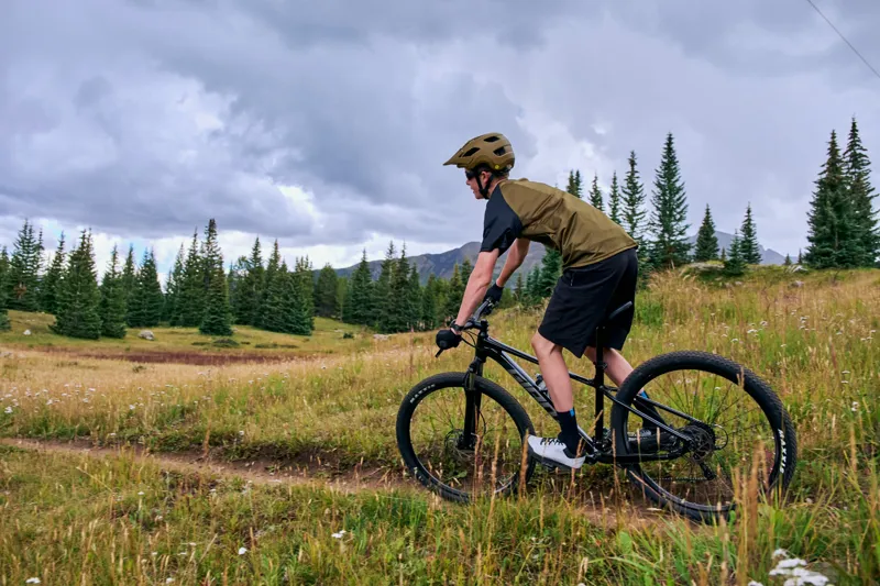 Giant - Talon 3 Hardtail Mountain Bike in Gloss Panther-8