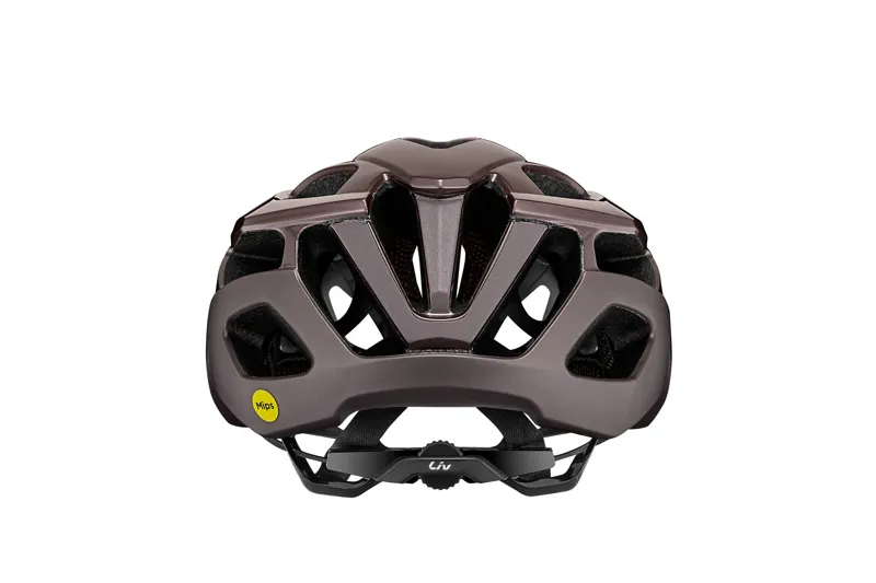 Liv - Rev Elite MIPS Performance Road Helmet in Gloss Orion Nebula-3