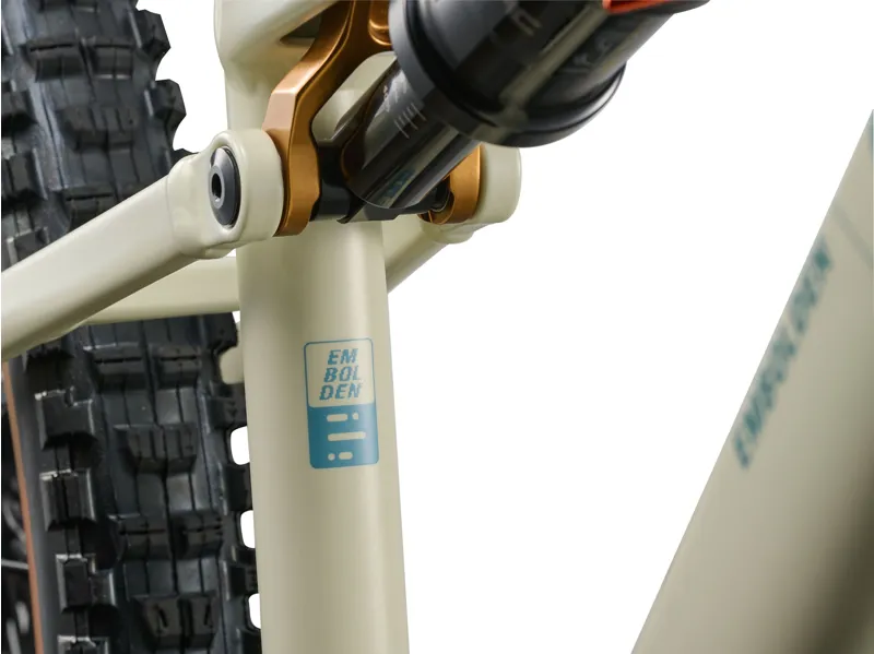 Liv - Embolden Train Full Suspension Mountain Bike in Pale Moss-6