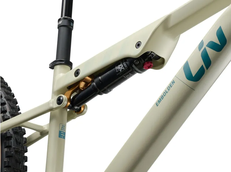 Liv - Embolden Train Full Suspension Mountain Bike in Pale Moss-7