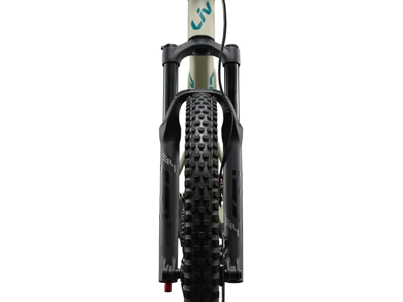 Liv - Embolden Train Full Suspension Mountain Bike in Pale Moss-8