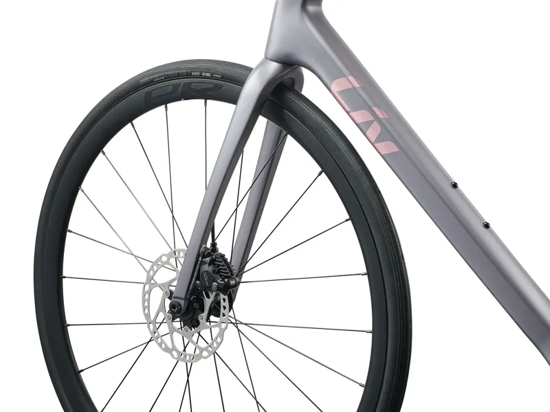 Liv - Langma Advanced 2 Pro Road Race Bike In Native Grey/Chrome-1