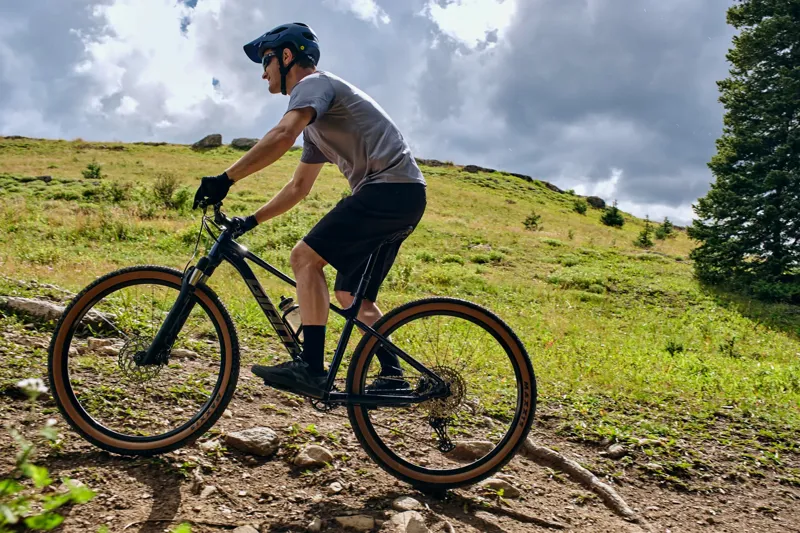 Giant - Talon 0 Hardtail Mountain Bike in Mars Dust/Black-4