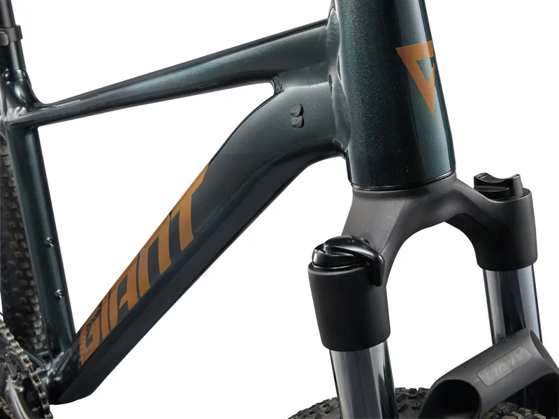 Giant - Talon 2 Hardtail Mountain Bike in Asphalt Green-4