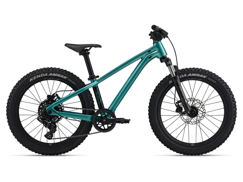 Giant - STP 20 FS Dirt Jumper Kids Bike in Teal