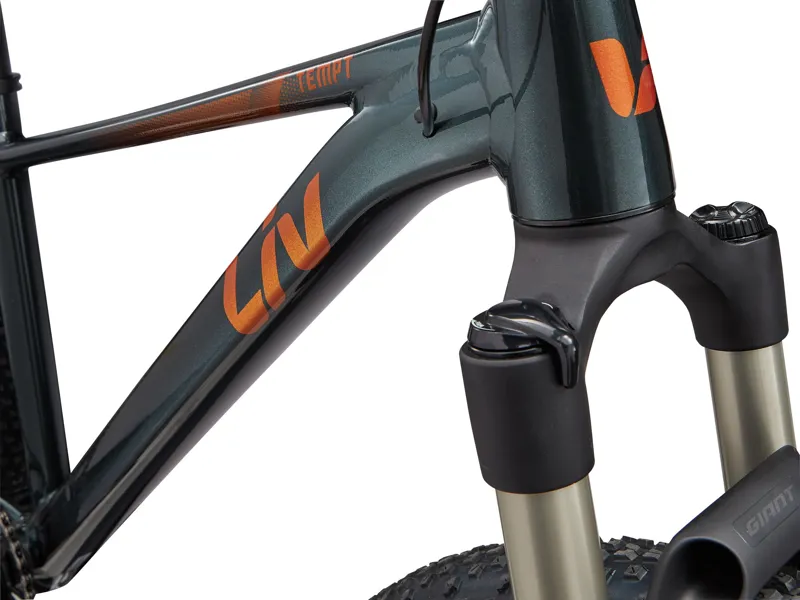 Liv - Tempt 0 Hardtail Mountain Bike in Gloss Asphalt Green-6