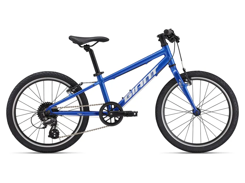 Giant - ARX 20 Alloy Kids Bike in Cobalt