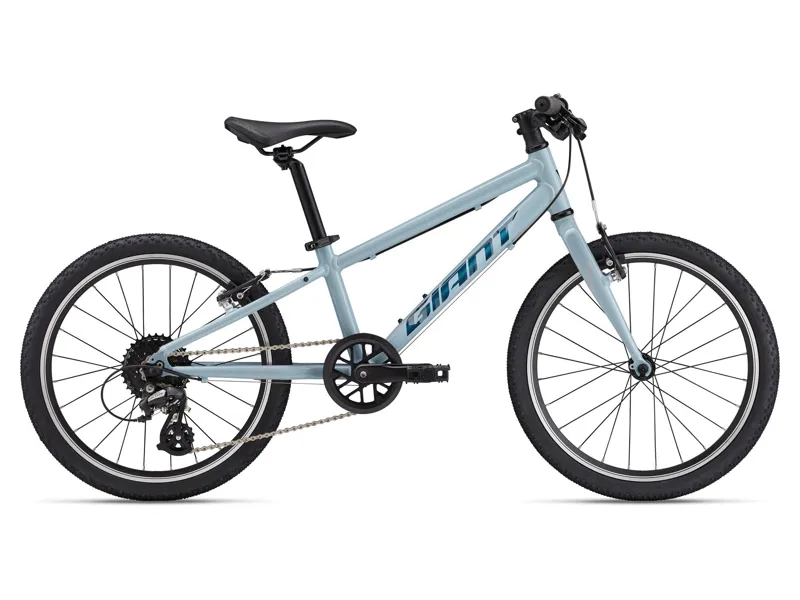 Giant - ARX 20 Alloy Kids Bike in Soap Suds