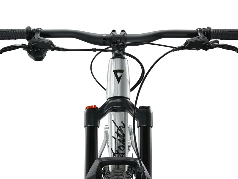 Giant - Faith 24 Full Suspension Kids Mountain Bike in Raw Aluminium-9