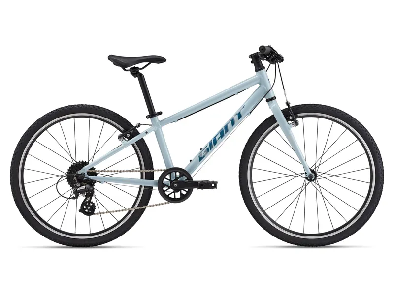 Giant - ARX 24 Alloy Kids Bike in Soap Suds