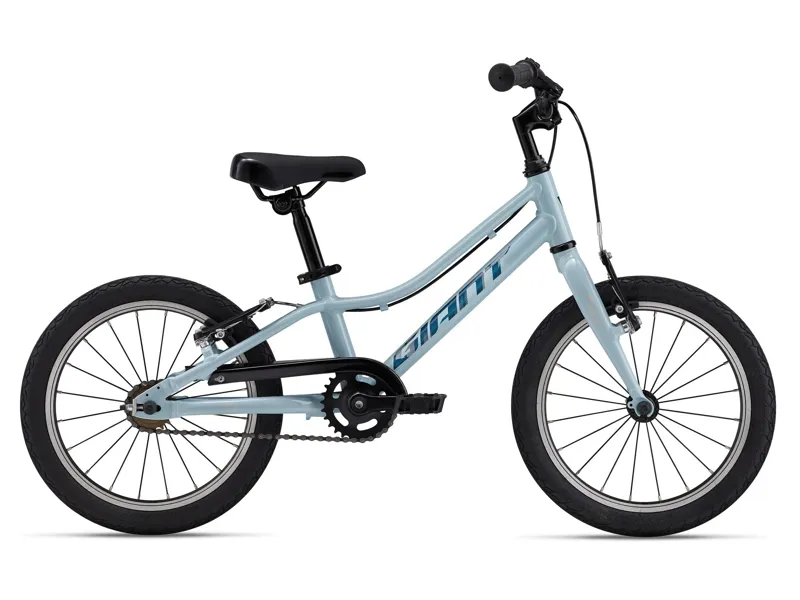 Giant - ARX 16 Alloy Freewheel Kids Bike in Soap Suds