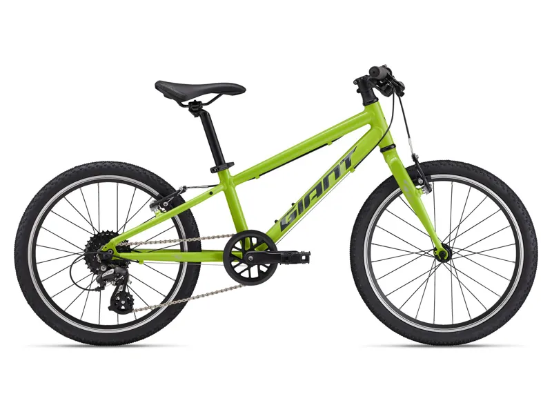 Giant - ARX 20 Alloy Kids Bike in Lime Punch
