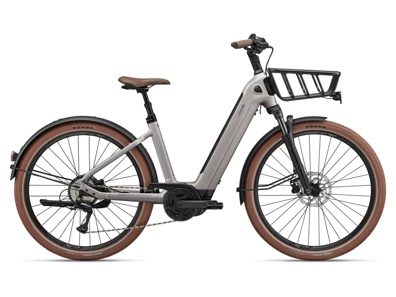 Liv - Flourish E+ 3 Women's Electric City Bike in Golden Shimmer