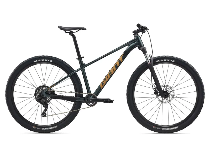 Giant - Talon 2 Hardtail Mountain Bike in Asphalt Green