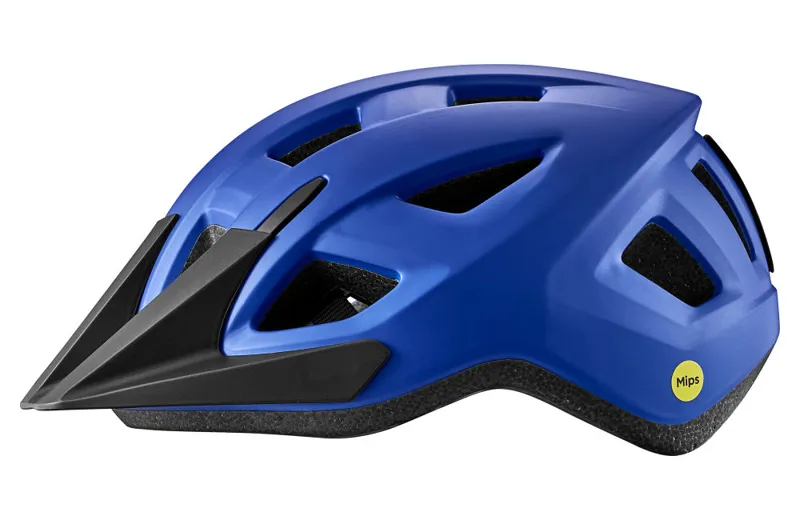 Giant - Path ARX MIPS Youth Helmet in Cobalt Blue