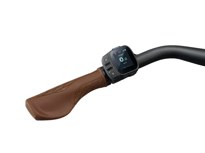 Liv - Flourish E+ 3 Women's Electric City Bike in Midnight Moon-6